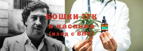 молекула духа Алексеевка