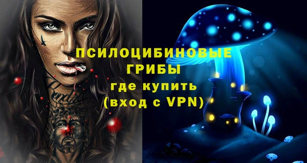 молекула духа Алексеевка