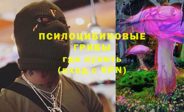 молекула духа Алексеевка