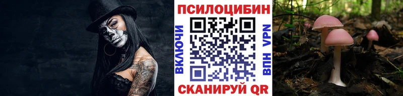 Галлюциногенные грибы Psilocybine cubensis  Исилькуль 